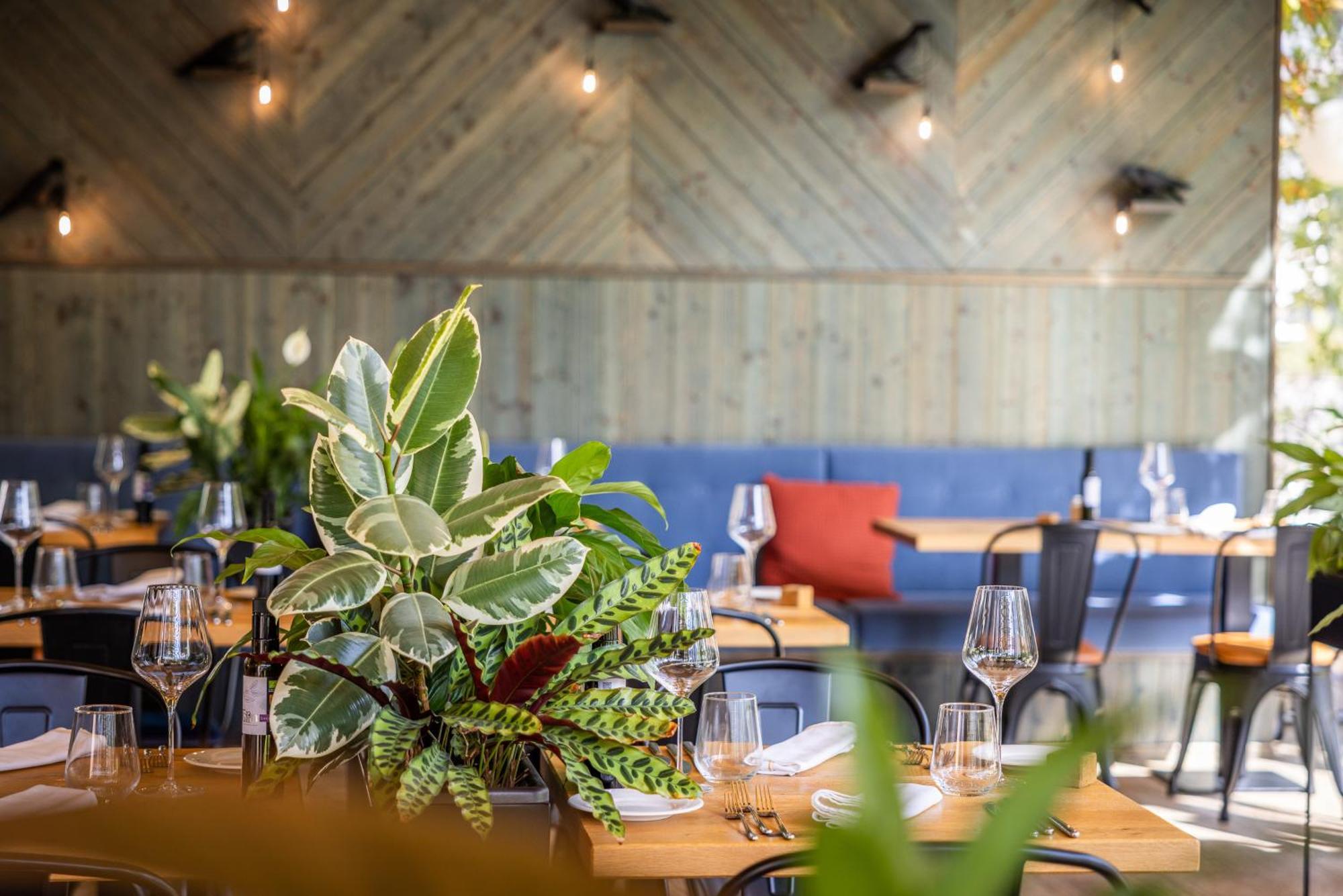 Boutique Hotel Sunrose 7 - Gourmet & Spa (Adults Only) Bohinj Exterior foto